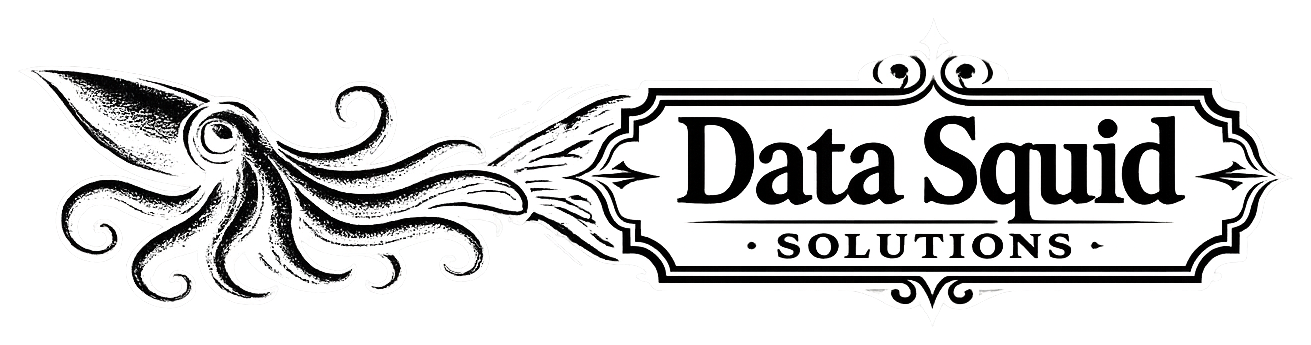 Data Squid Solutions